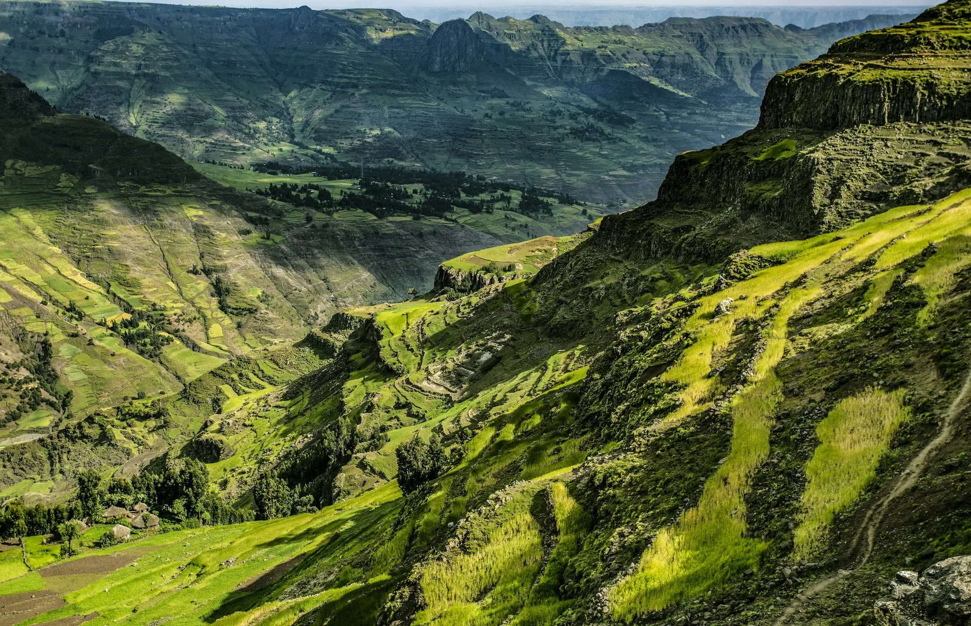 Terraced green highlands in Ethiopia